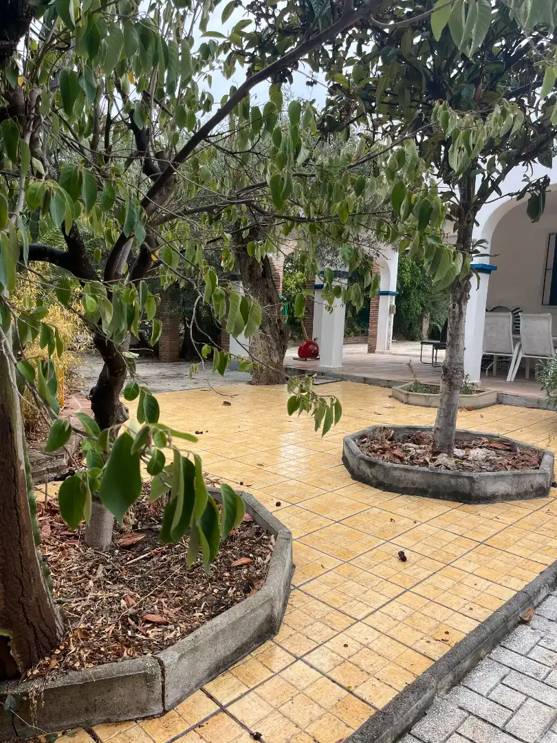 Xalet amb jardí de lloguer a Buenavista - Lauro Golf, imagen 31