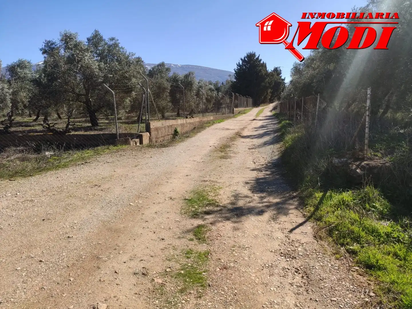 Terrenys i solars en venda a Villamena, imagen 4