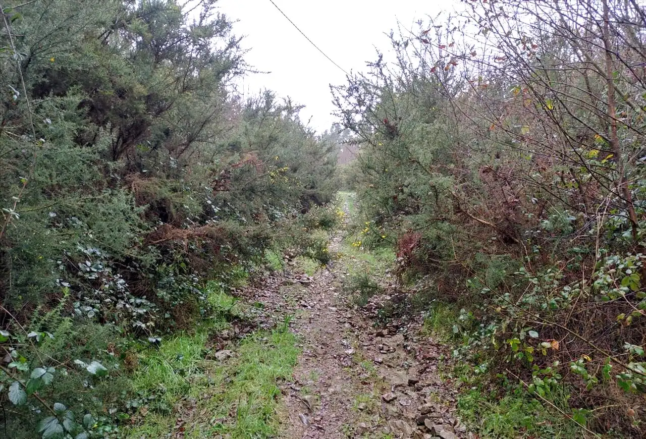 Terreni e lotti in vendita a 16. Parcela, imagen 12