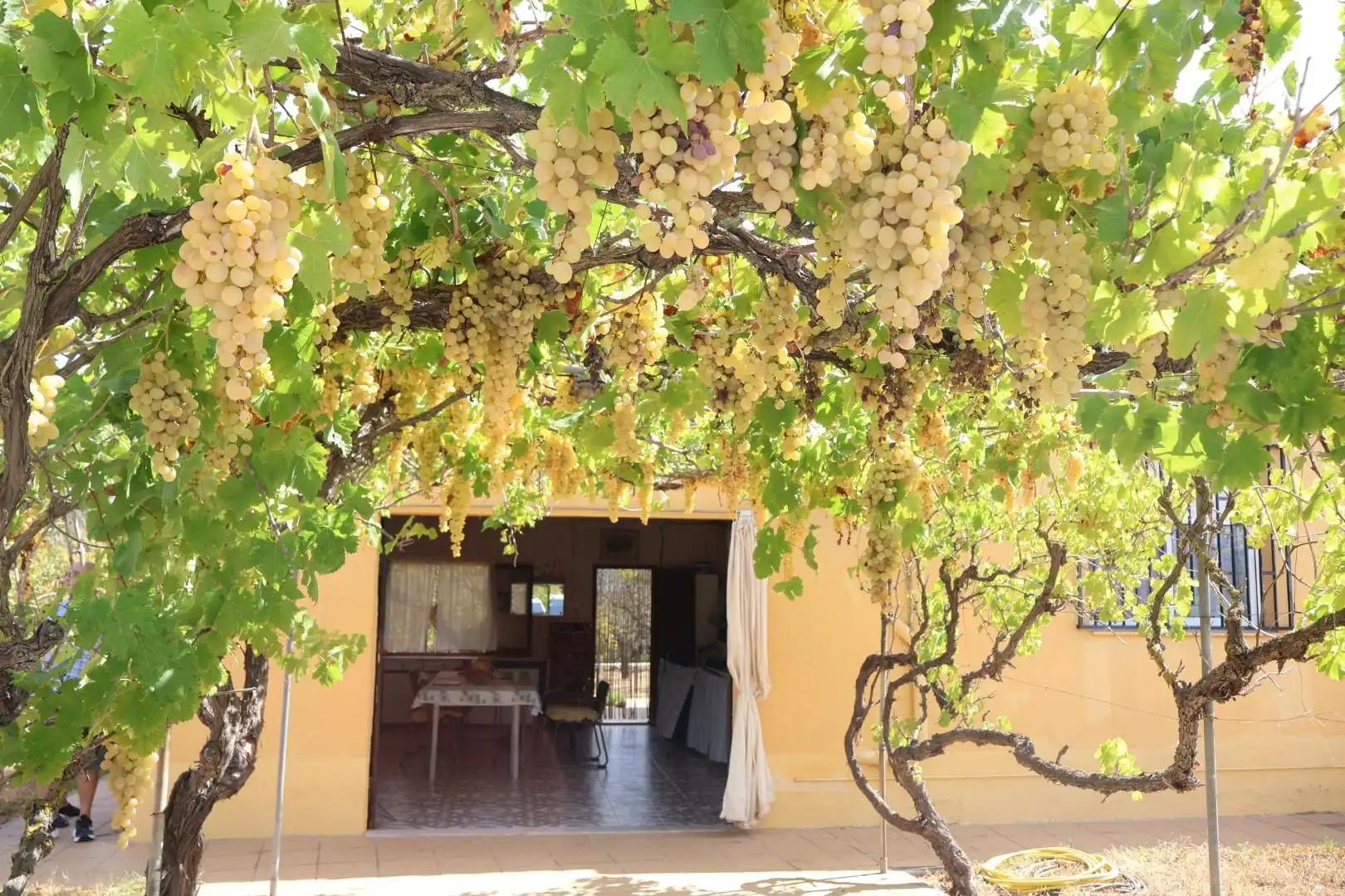 Casa rústica en venda a Vall d'Alba, imagen 31
