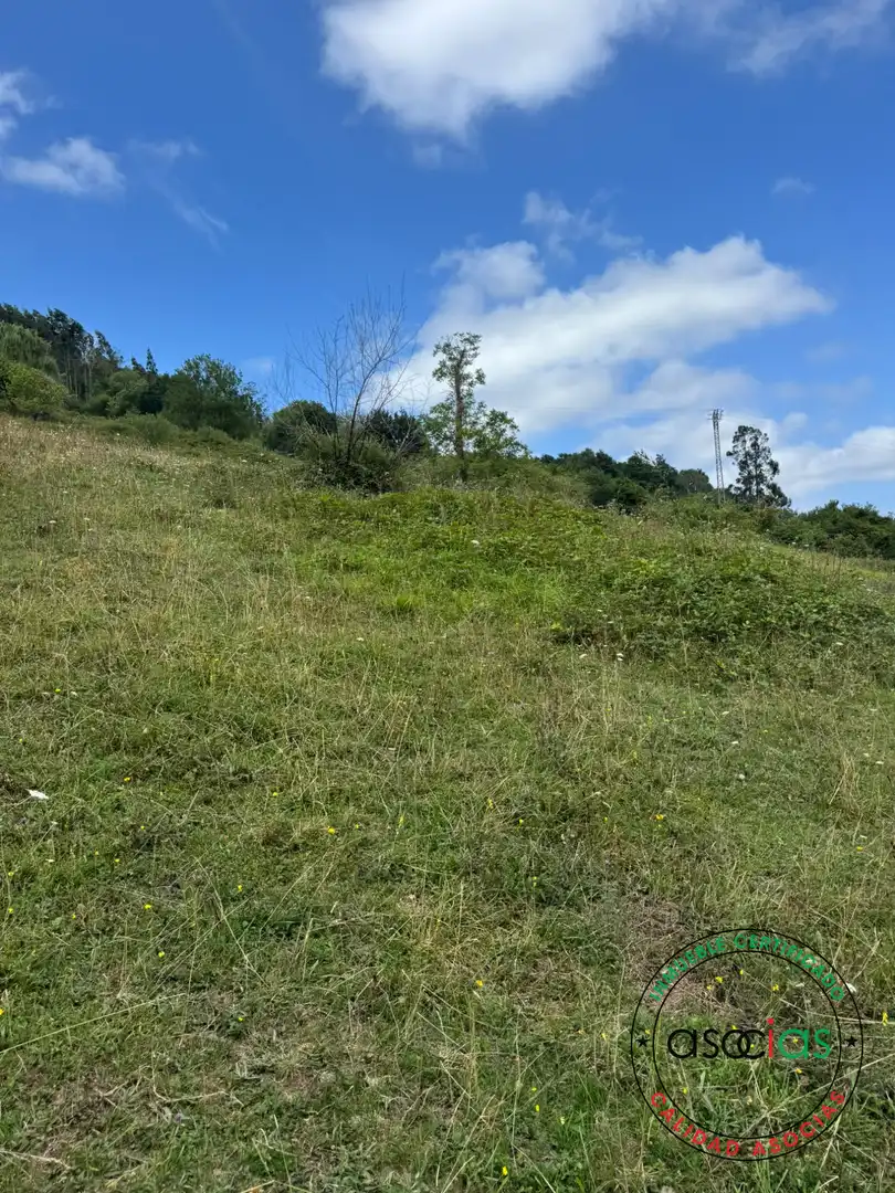Terreny en venda en Villaviciosa