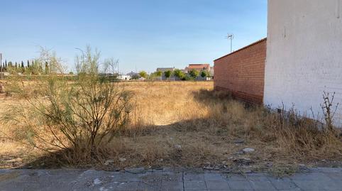 Foto 4 de Residencial en venda a Goya, 4-6, Almagro, Ciudad Real