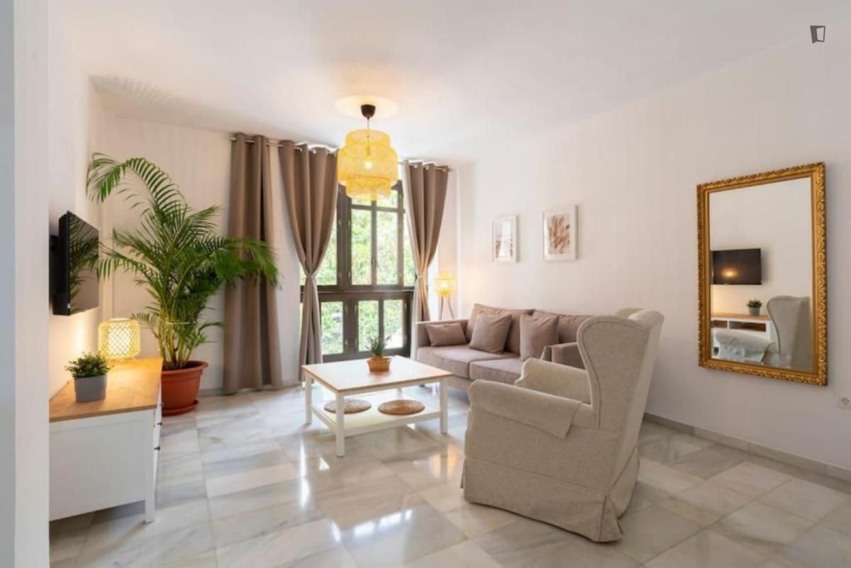 Sala d'estar de Apartament de lloguer en Málaga Capital amb Aire condicionat, Calefacció i Moblat