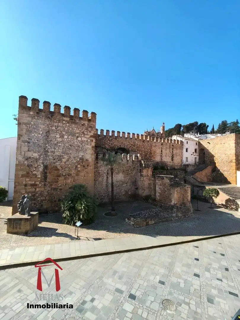 Vista exterior de Casa o chalet en venta en Antequera con Aire acondicionado