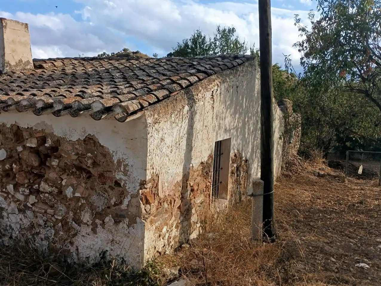Vista exterior de Finca rústica en venda en Bédar amb Jardí privat i Terrassa