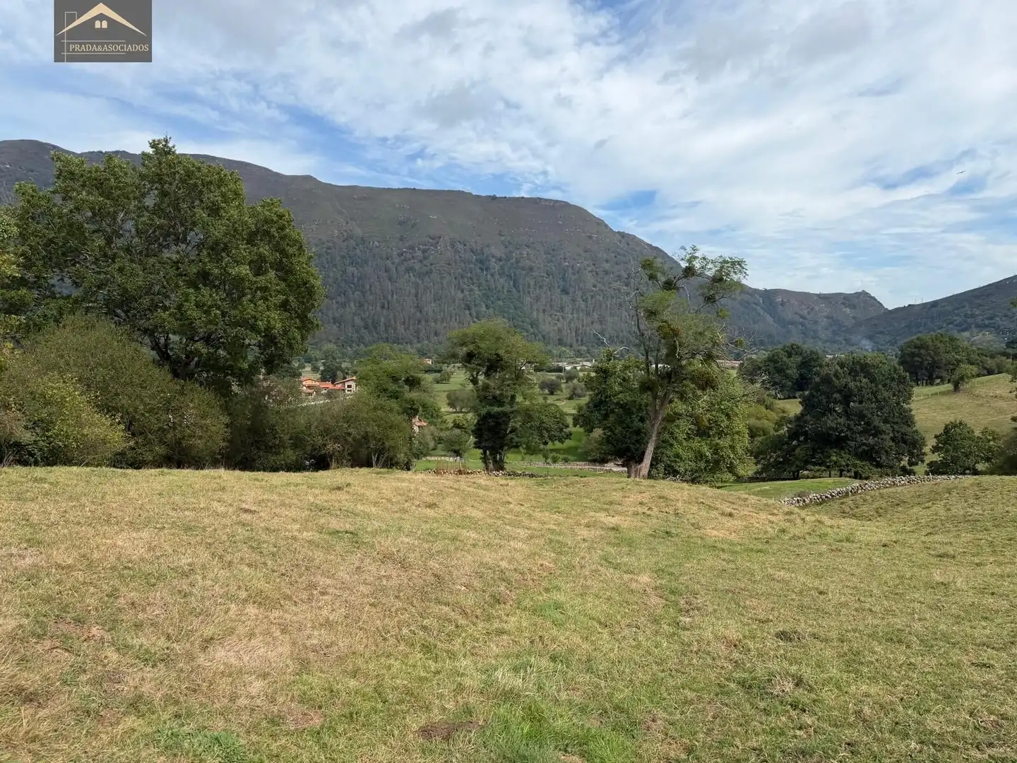 Lands and plots for sale in Ruente, imagen 8