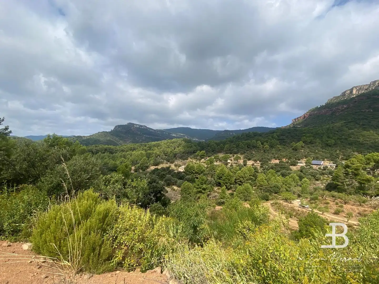 Terreny rústic en venda a Alforja, imagen 19