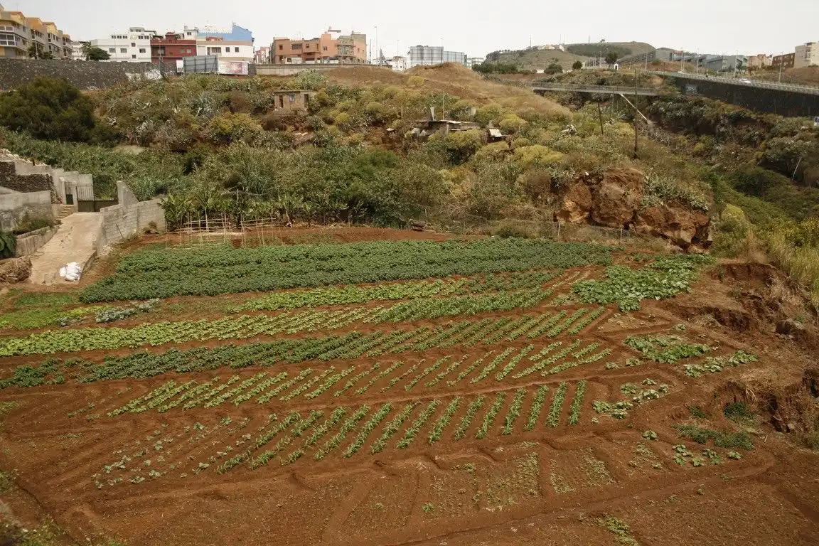 Garten von Residential zum Verkauf in San Cristóbal de la Laguna