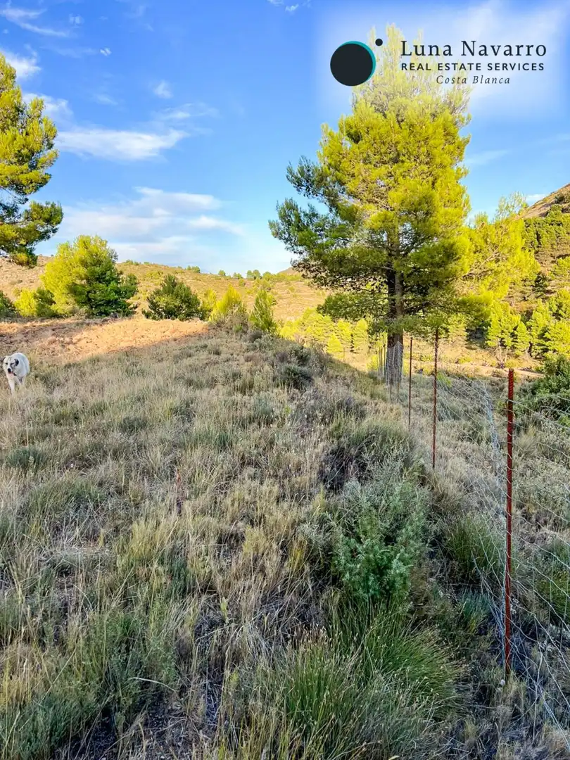 Terreno en venta en Calle San Antonio, 50, Confrides