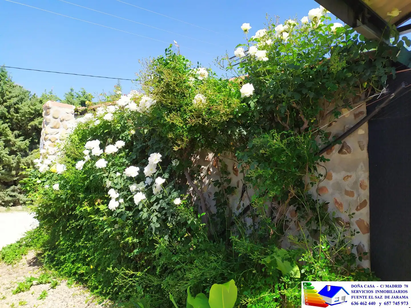 Jardín de Casa o chalet en venta en Fuente El Saz de Jarama con Aire acondicionado, Calefacción y Jardín privado
