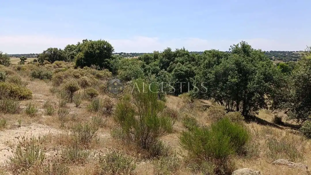 Land for sale in Méntrida