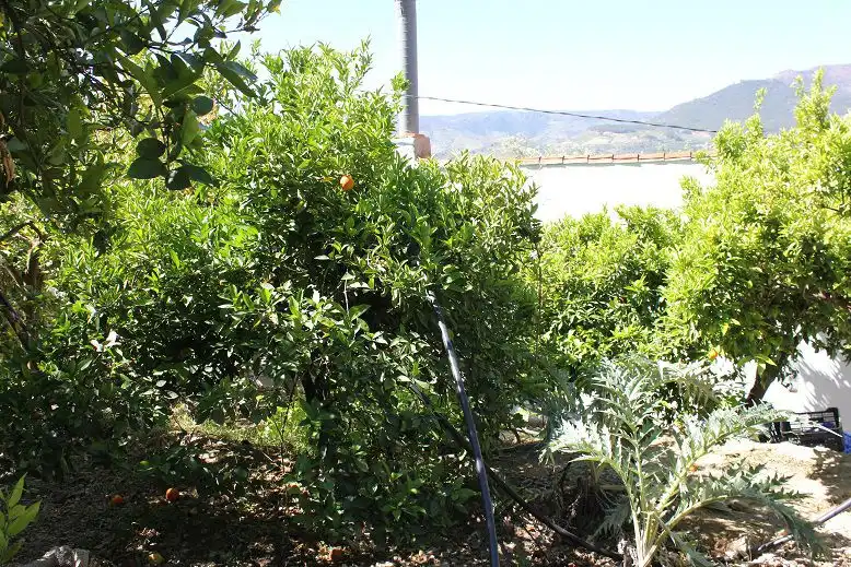 Country house for sale in Lecrín, imagen 41