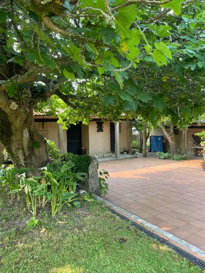 Finca rústica en venta en AC-303, Corrubedo