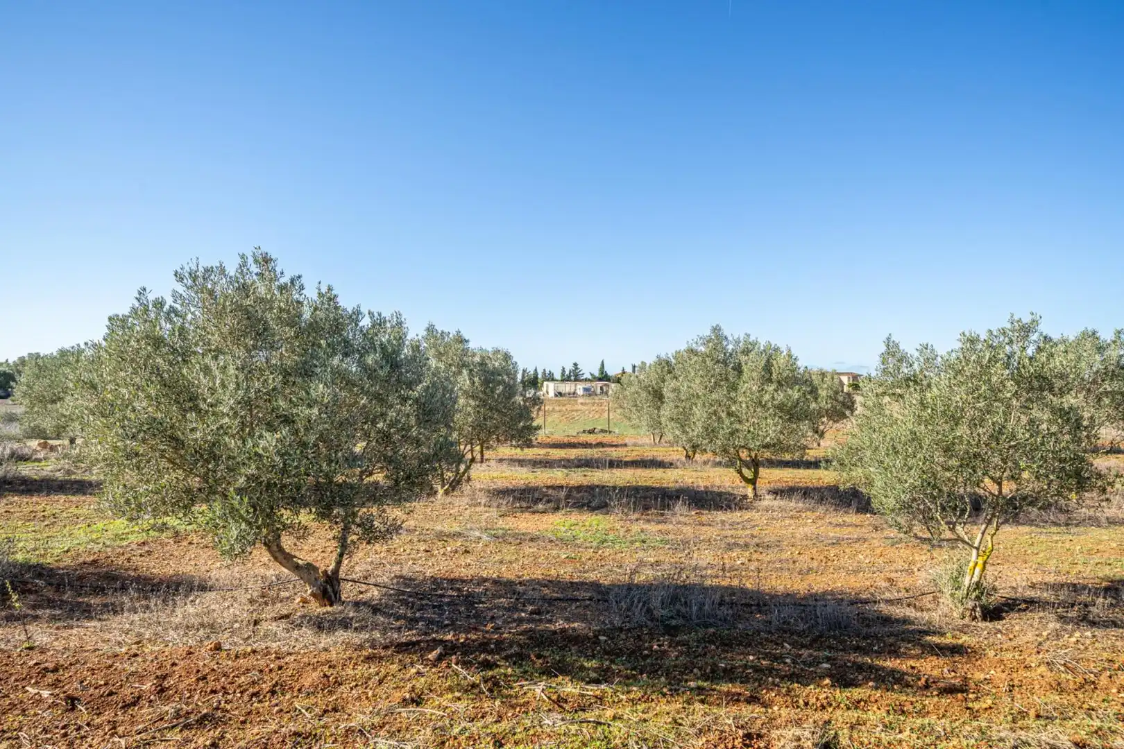 Country homes for sale in Llucmajor  with Air Conditioner, Heating and Private garden
