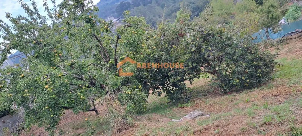 Terreni e lotti in vendita a San Rosendo, imagen 12