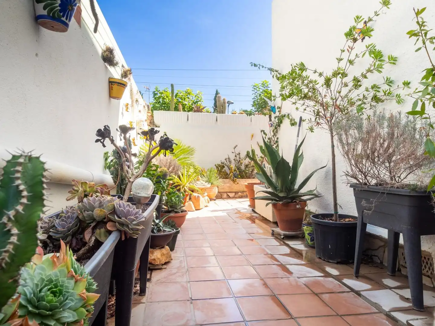 Casa en venda a Carrer TERANYINA, imagen 3