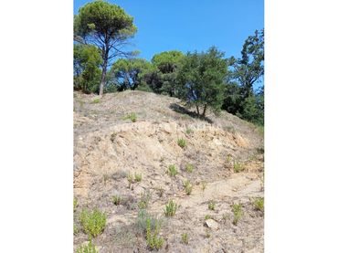 Terreno rustico in vendita a Niàgara Parc - Àgora Parc