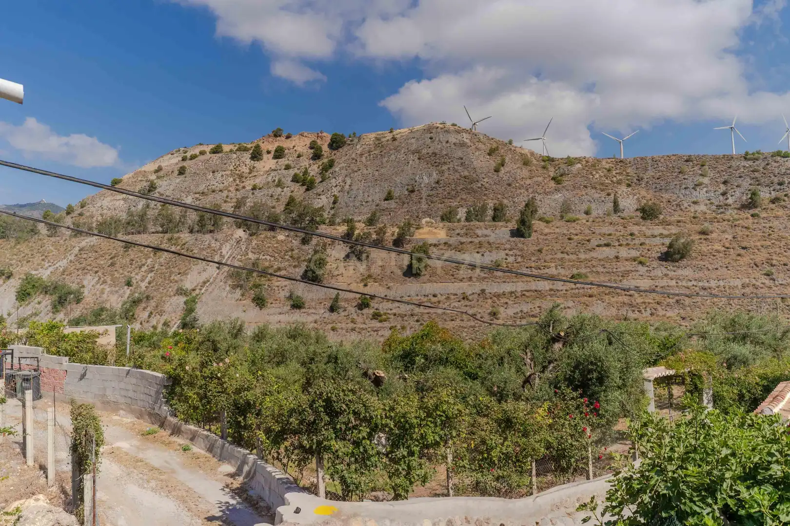 Vista exterior de Casa o xalet en venda en El Pinar amb Balcó