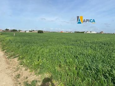 Terreno rustico in vendita a Los Franceses – La Vega