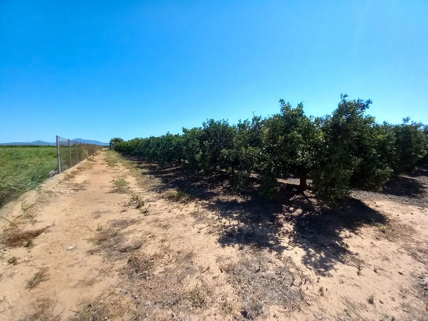 Land for sale in Vinaròs