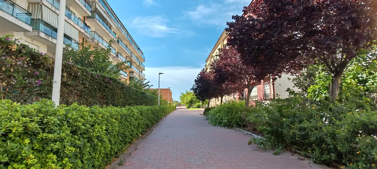 Vista exterior de Pis en venda en Gandia amb Aire condicionat, Calefacció i Jardí privat