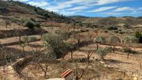 Finca rústica en venda en Lubrín amb Terrassa