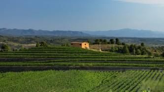 Residencial en venta en El Molar (Tarragona)