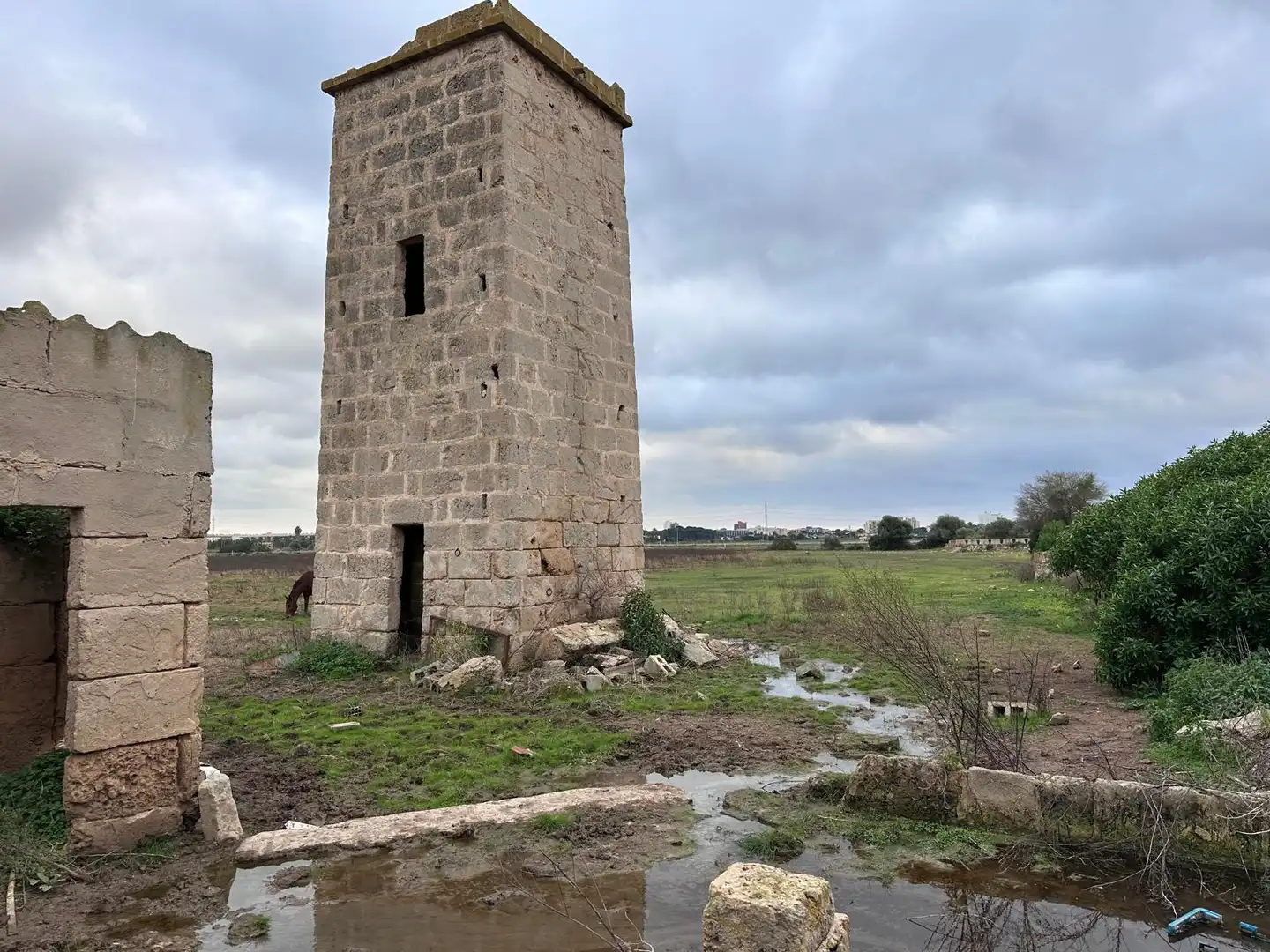 Terreny rústic en venda a Llevant