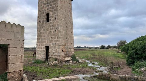 Gran parcela rústica en Son Sunyer.