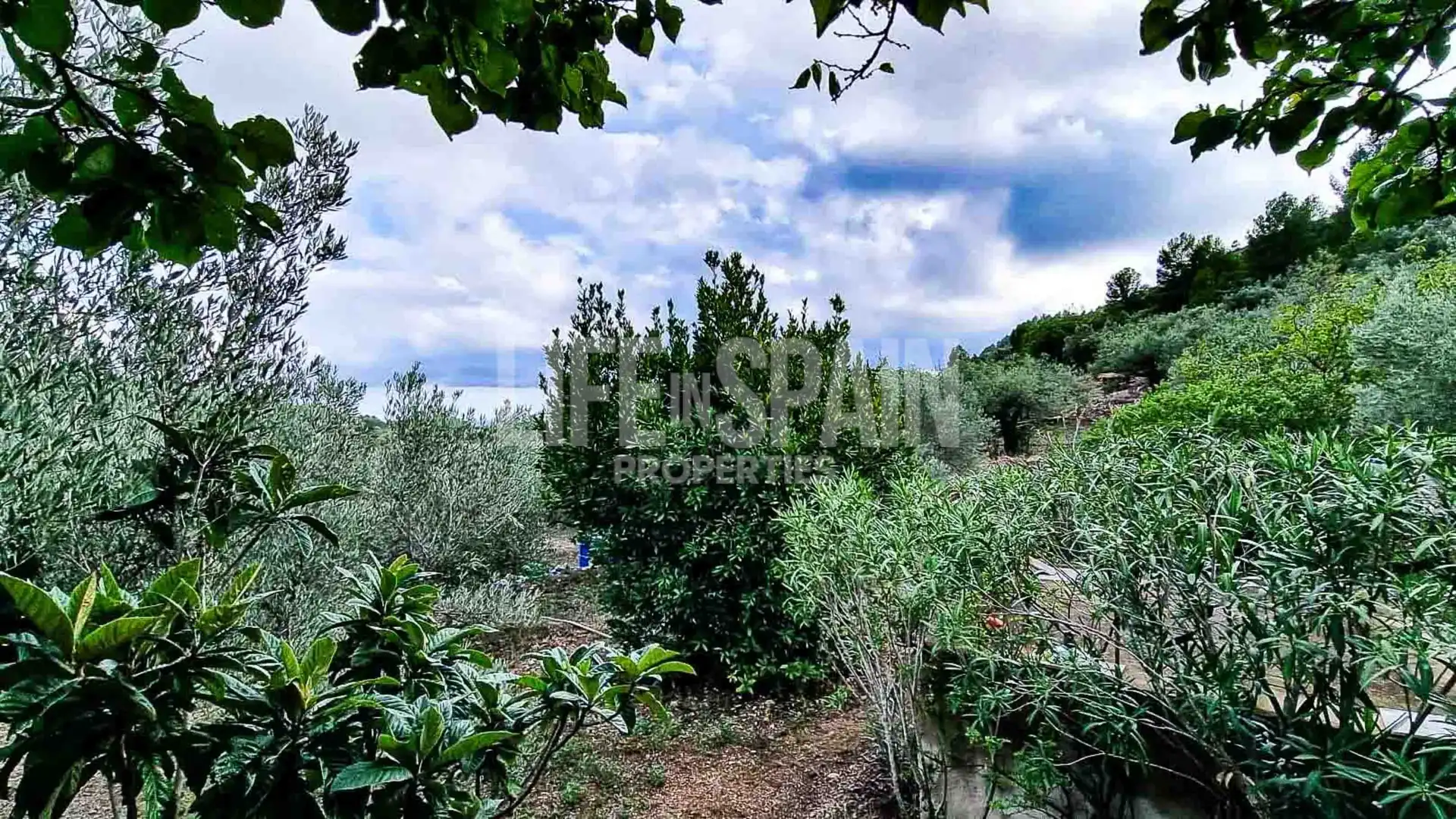 Finca rústica en venta en Bítem
