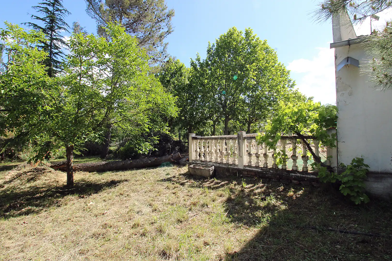 Garden of Land for sale in Torrelaguna