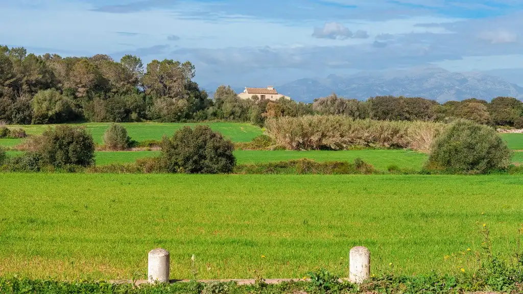 Rural land for sale in Muro