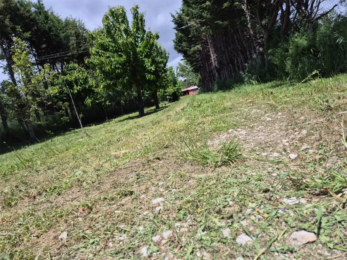 Finca rústica en venda en Cardeñajimeno