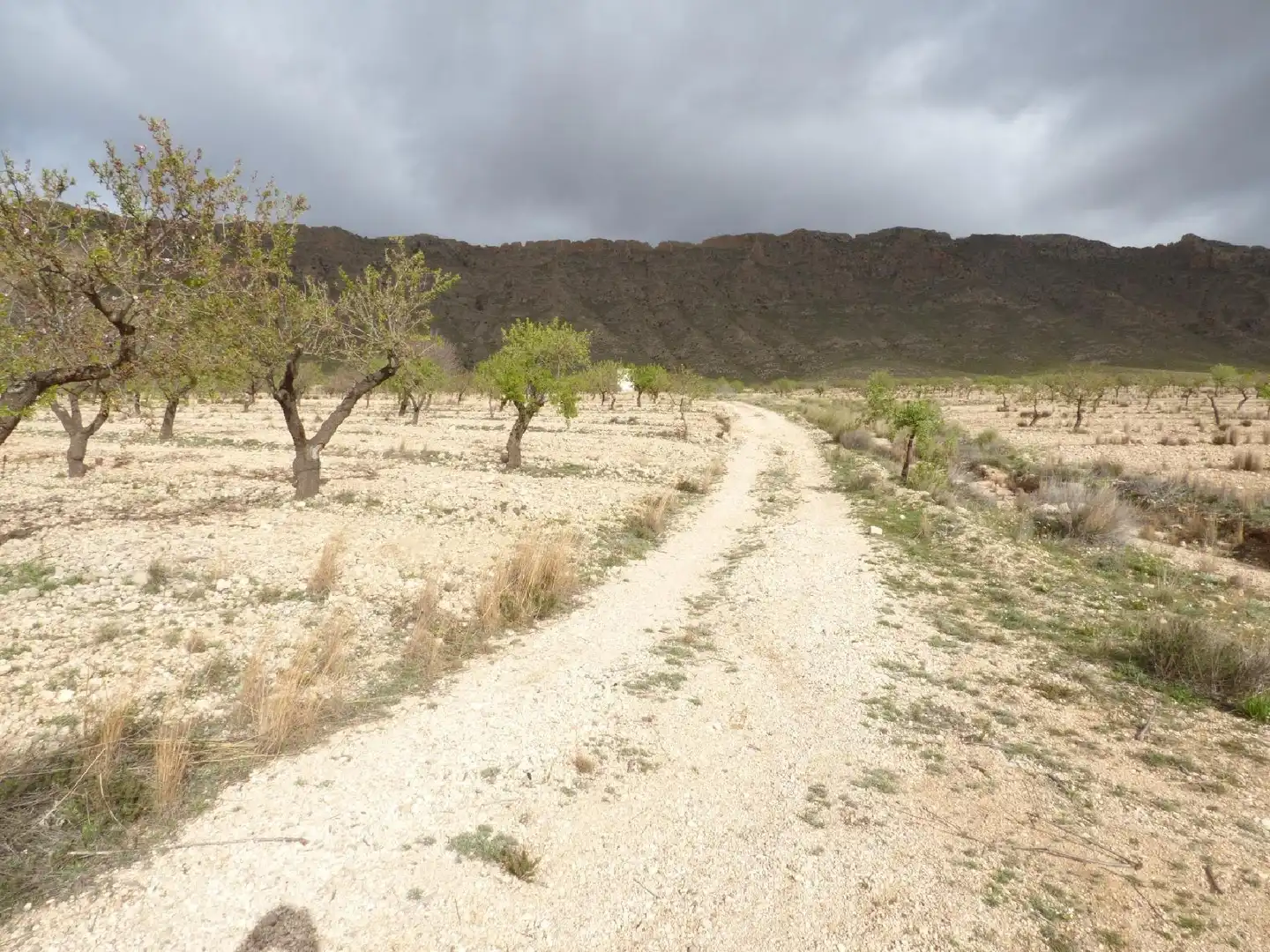 Rustikales Grundstück zum Verkauf in Jumilla, imagen 8