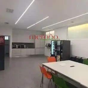 Nau industrial de lloguer en Elche / Elx