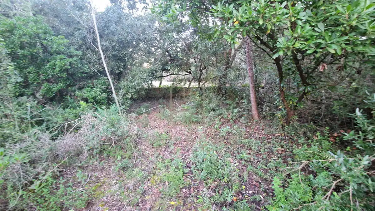 Terreny residencial en venda a Artà Poble, imagen 15