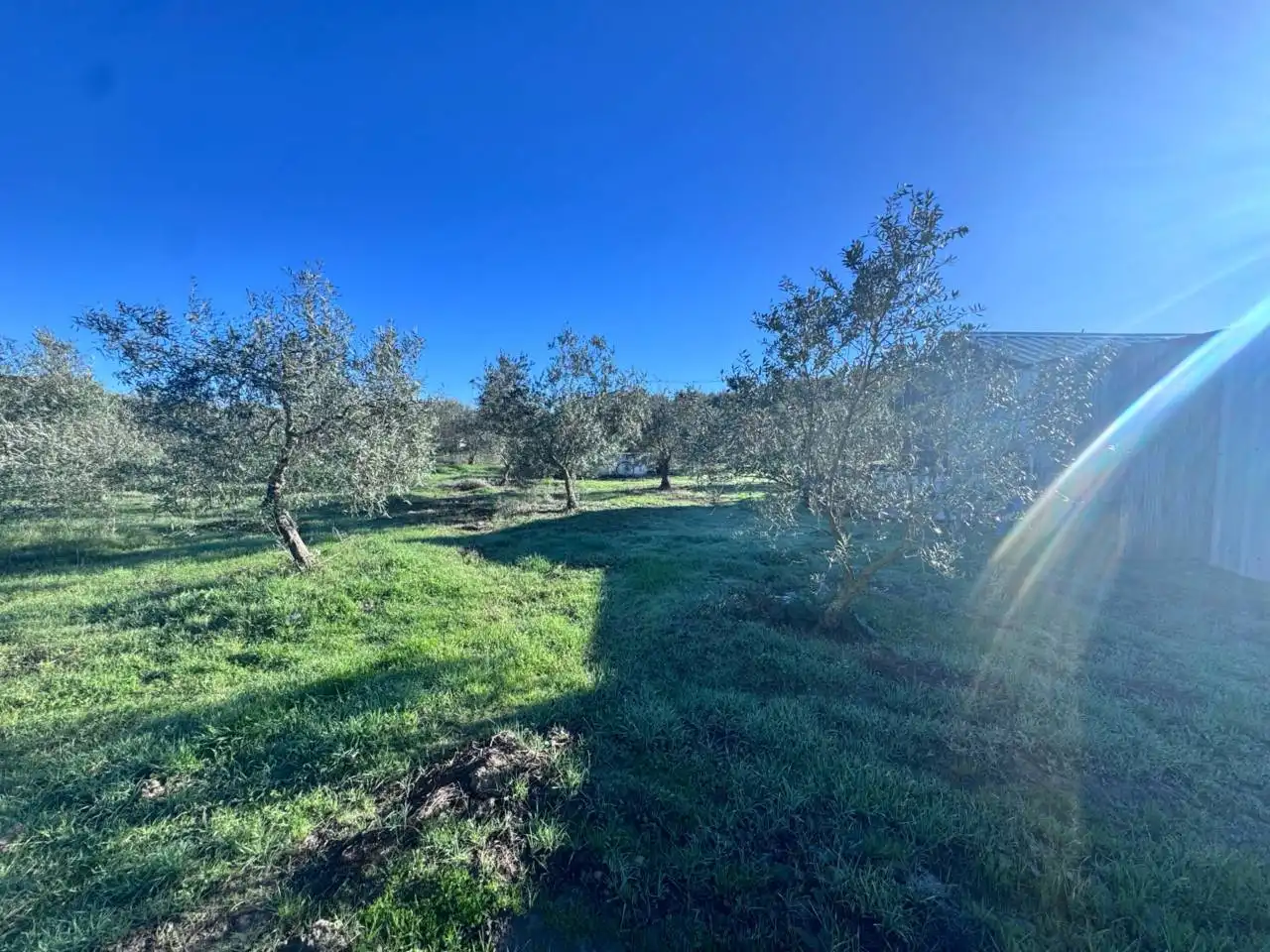 Finca rústica en venta en Arahal con Aire acondicionado y Amueblado