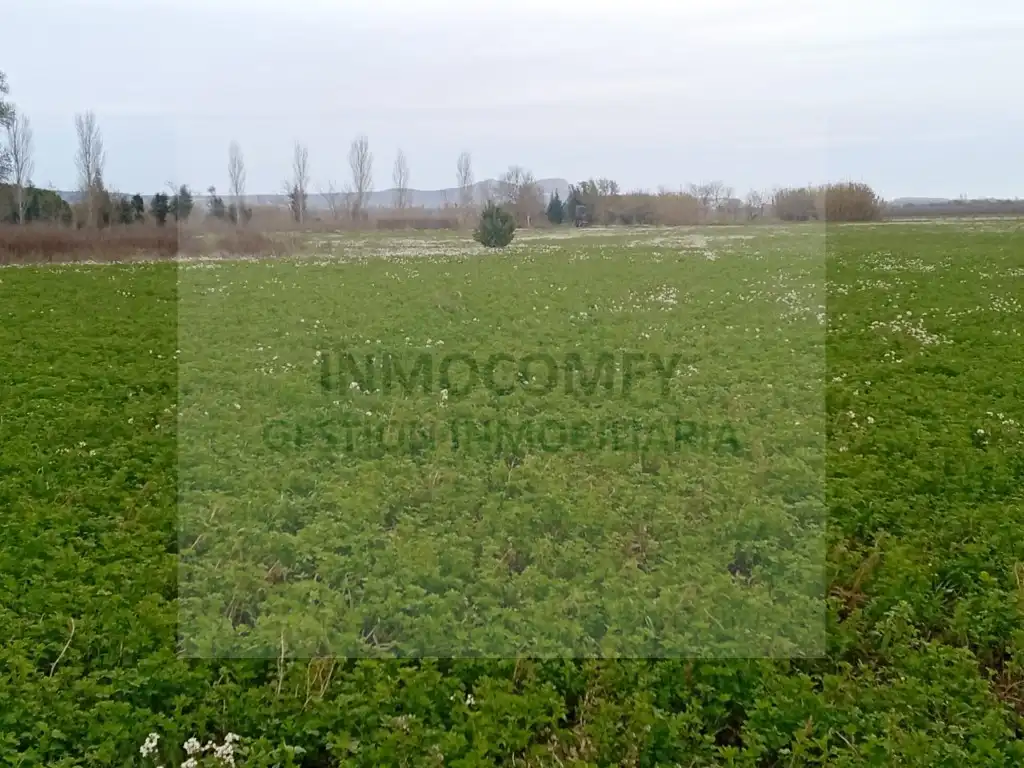 Land for sale in Palau-sator