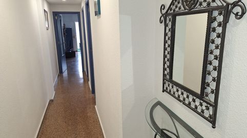 Foto 3 de Piso de alquiler en Norte, San Vicente del Raspeig / Sant Vicent del Raspeig