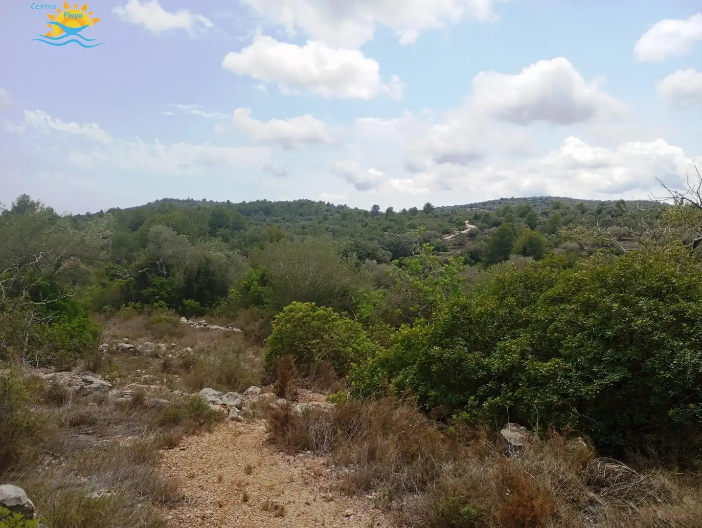 Maison rustique à vendre à CALIG CASTELLON 12589, imagen 4