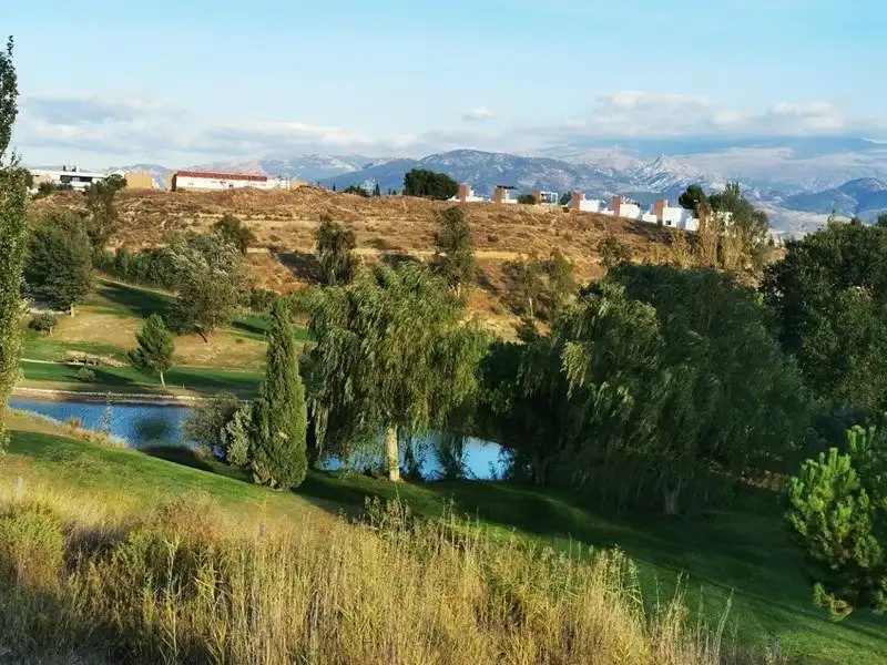 Terrenos y solares en venta en San Francisco - Chorillo