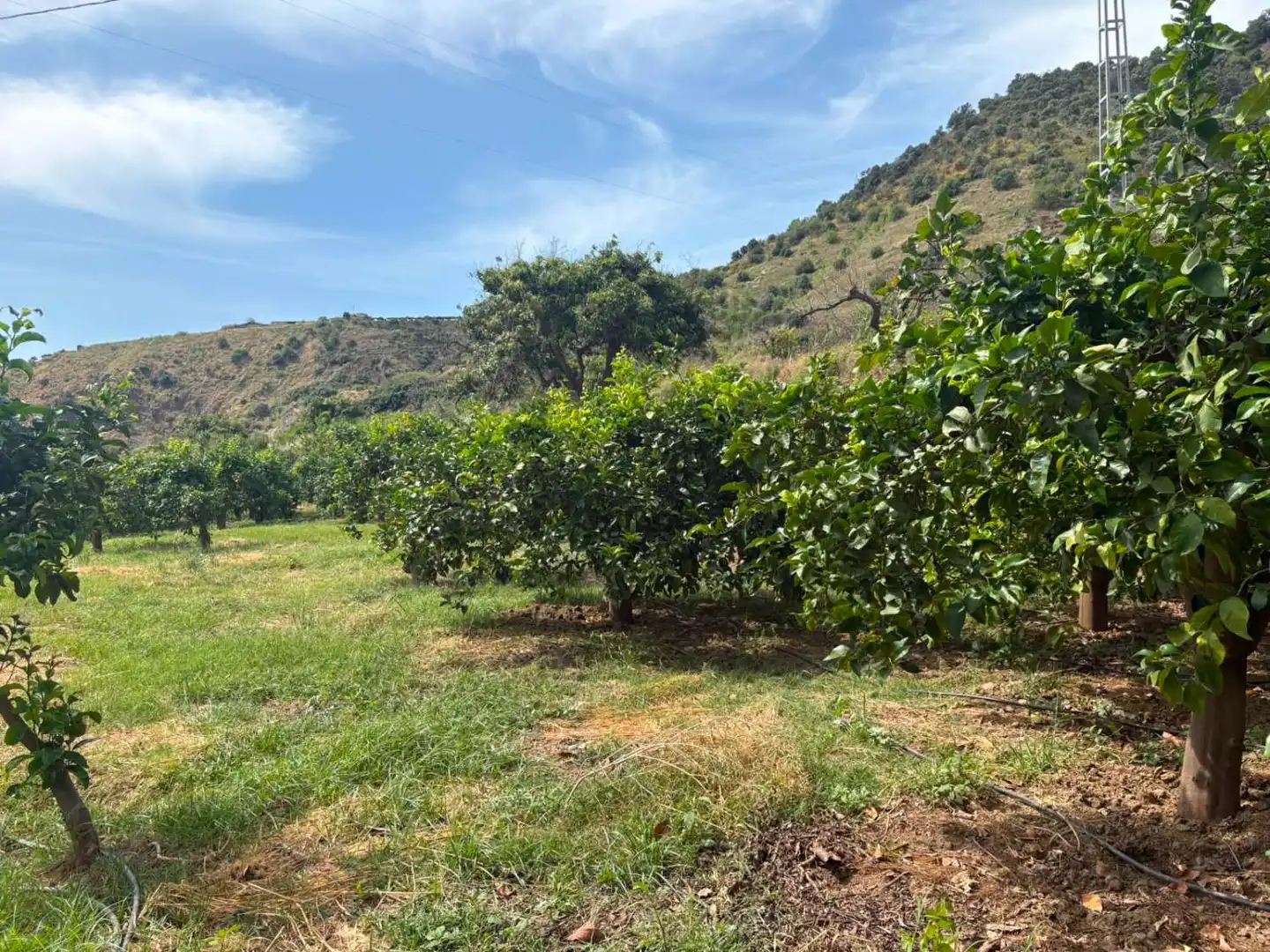 Residencial en venda en Cútar