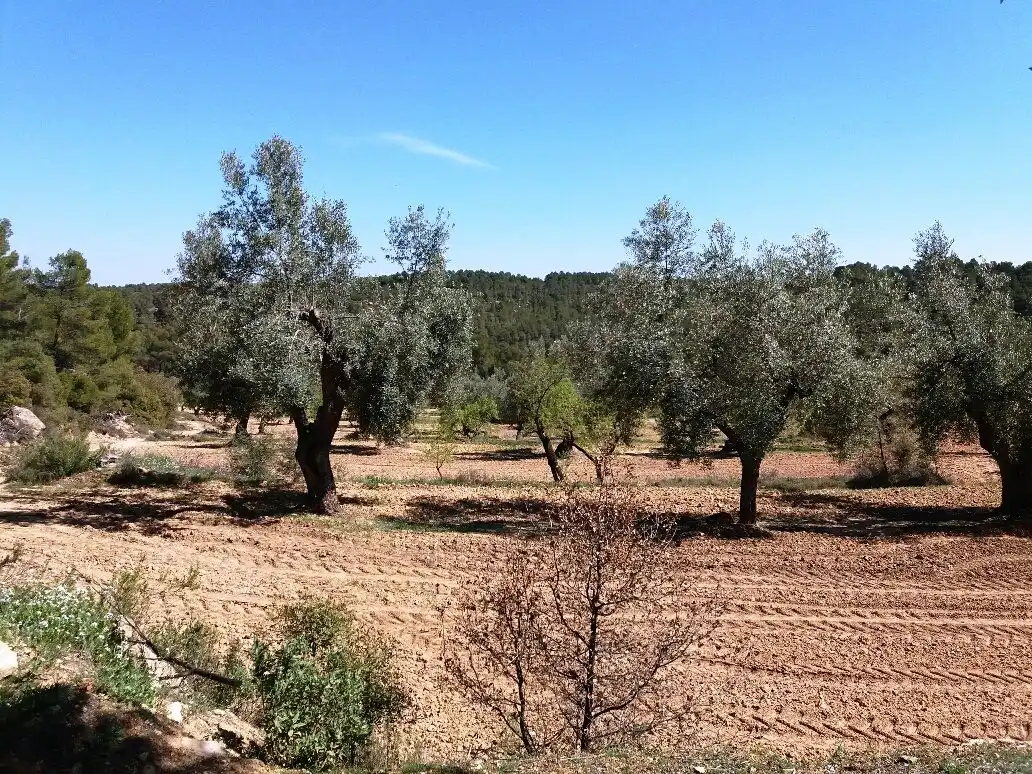 Terreni e lotti in vendita a Cretas, imagen 7