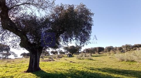 Photo 2 of House or chalet for sale in Poligono 8 Paraje 77 Grupo 2 Prejigo, Monroy, Cáceres