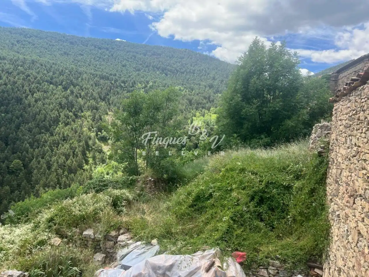 Casa o xalet en venda en El Pont de Bar amb Calefacció, Jardí privat i Parquet