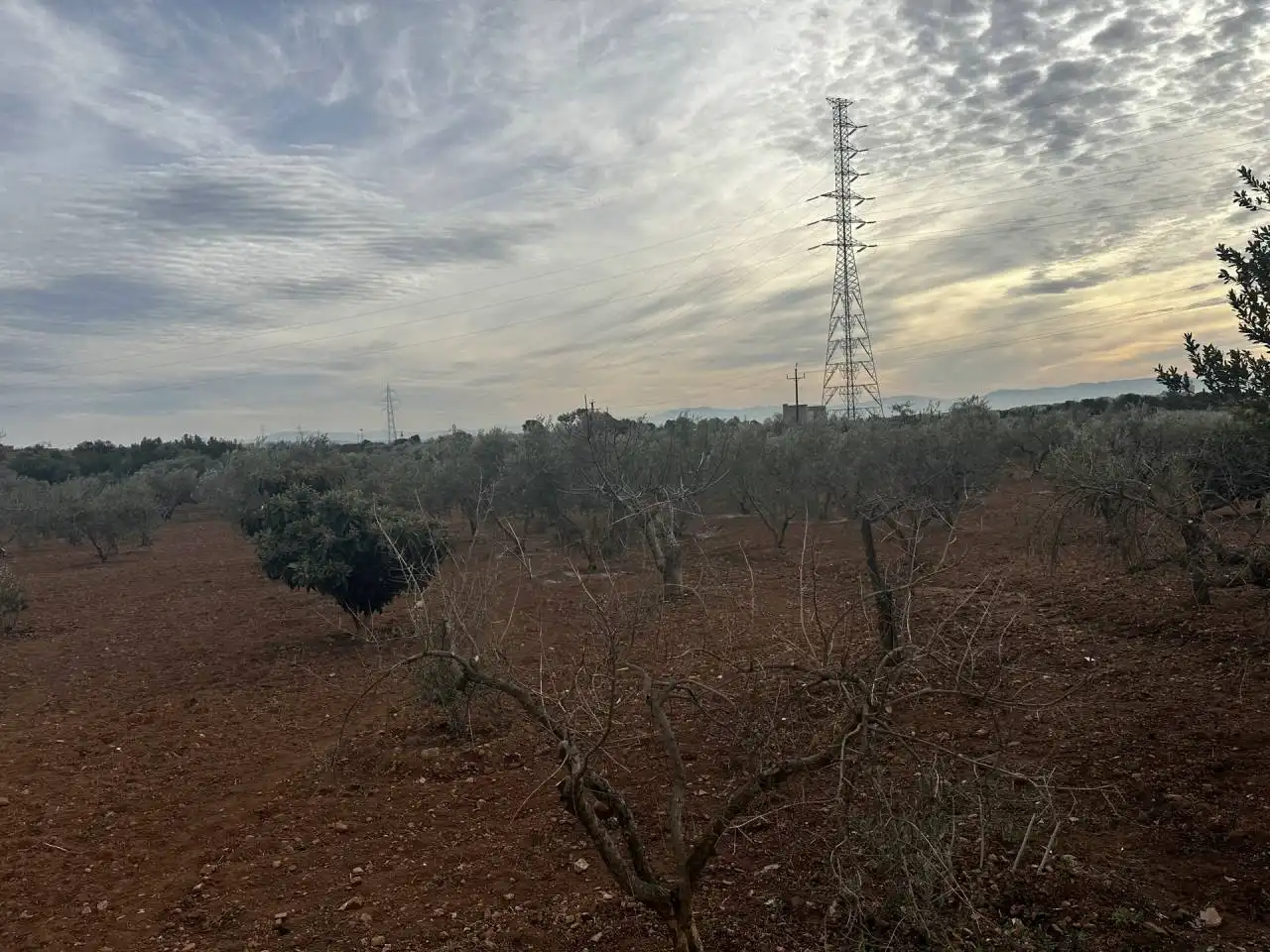 Casa o chalet en venta en DS AFORES, Sentmenat