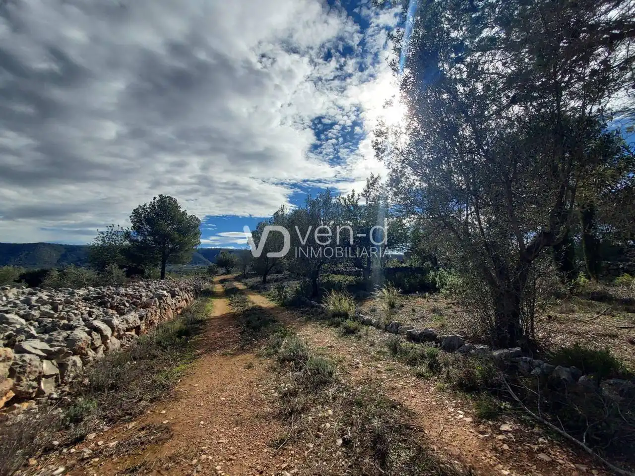 Terreno en venta en Enguera