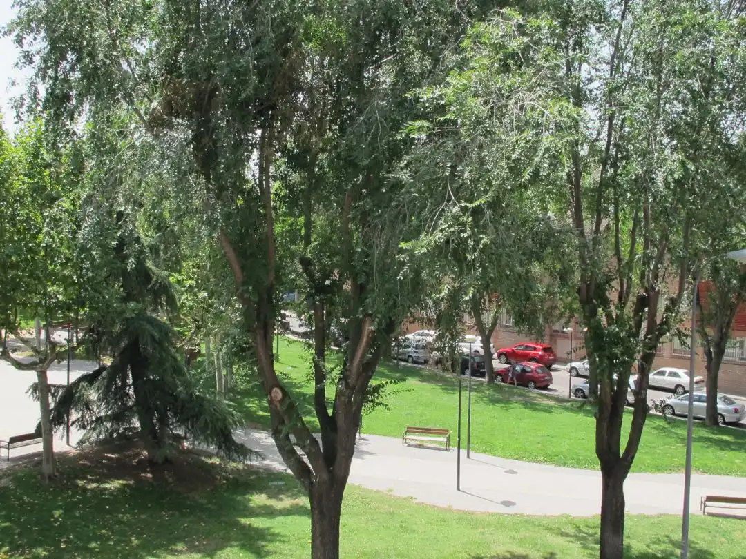 Vista exterior de Oficina de alquiler en Majadahonda con Aire acondicionado, Calefacción y Amueblado