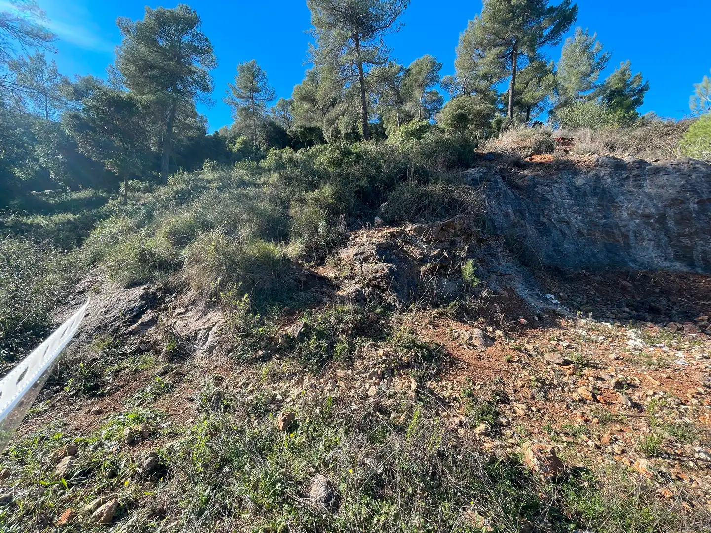 Residencial en venta en Olesa de Bonesvalls