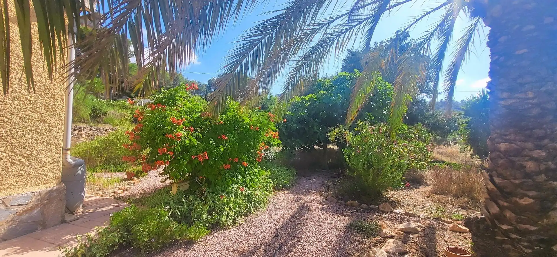 Casa en venda a Hondón de las Nieves / El Fondó de les Neus, imagen 9